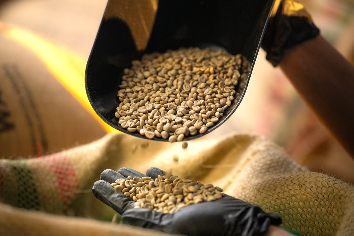 Coffee Bundles