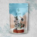 Honduras copan
